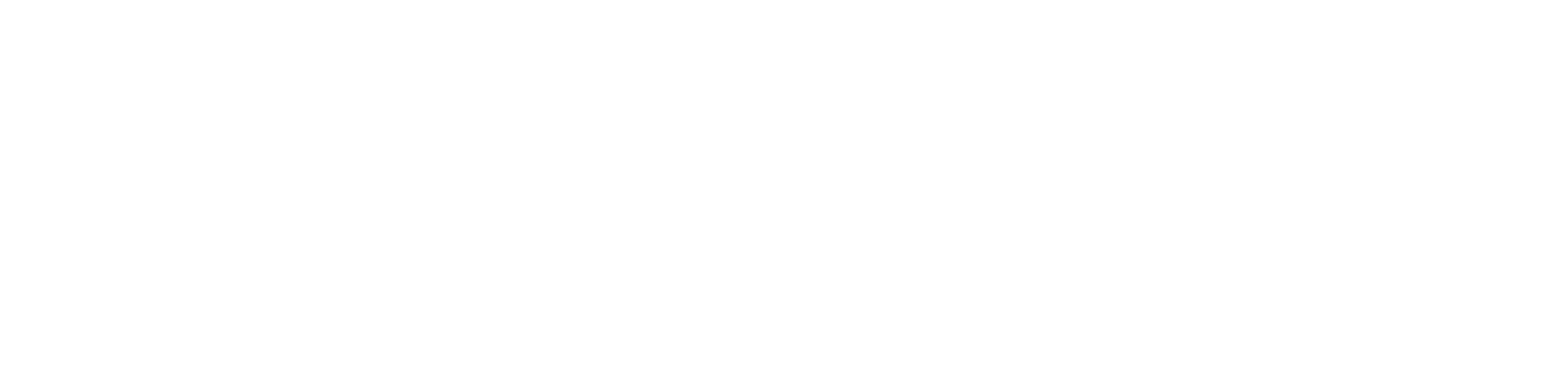 AEROVISION DRONES